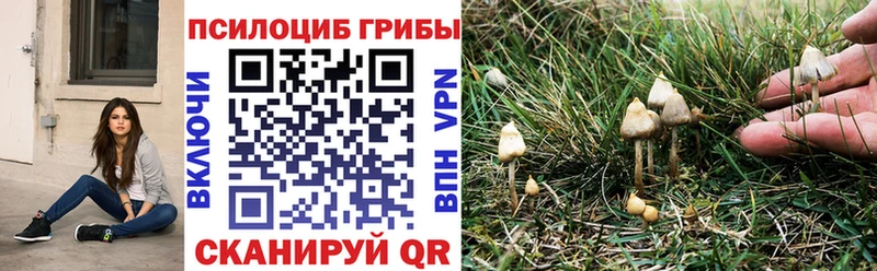 Псилоцибиновые грибы MAGIC MUSHROOMS  Покровск 
